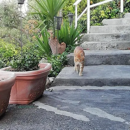 Апартаменты U Castiddanu Breathtaking View